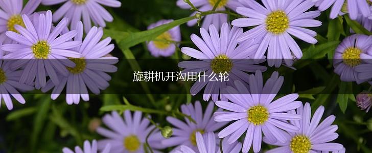 旋耕机开沟用什么轮,第1张