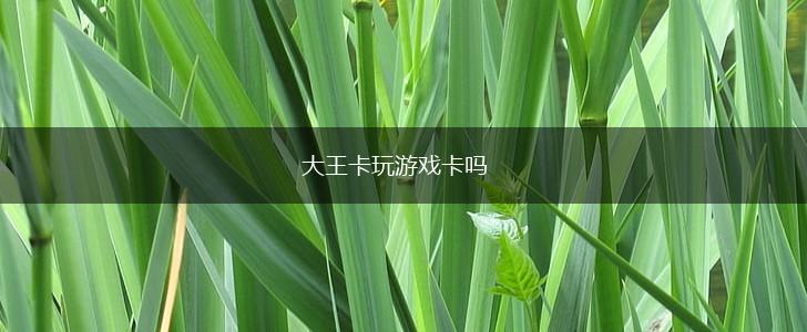 大王卡玩游戏卡吗,第1张