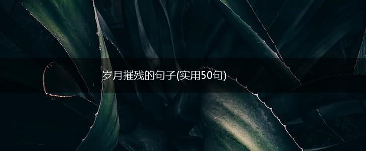 岁月摧残的句子(实用50句),第1张