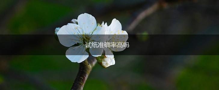 试纸准确率高吗,第1张