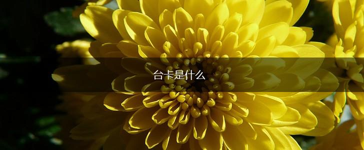 台卡是什么,第1张