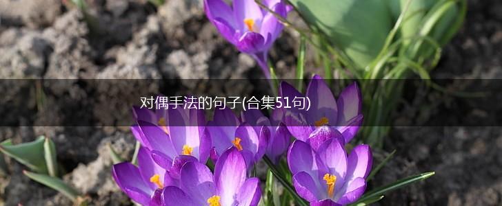 对偶手法的句子(合集51句),第1张