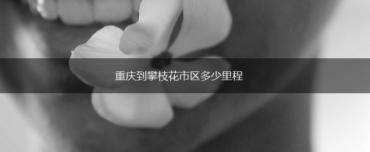 重庆到攀枝花市区多少里程,第1张