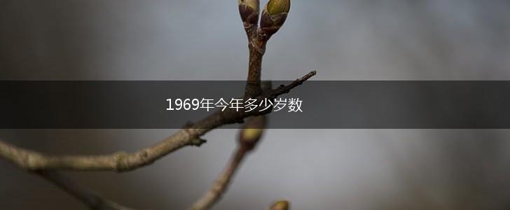 1969年今年多少岁数,第1张