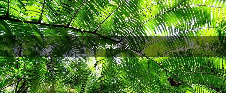 六氢萘是什么,第1张