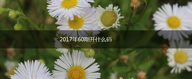 2017年60期开什么码,第1张