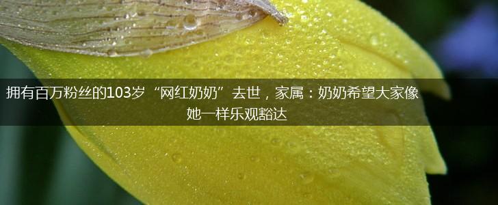 拥有百万粉丝的103岁“网红奶奶”去世，家属：奶奶希望大家像她一样乐观豁达,第1张