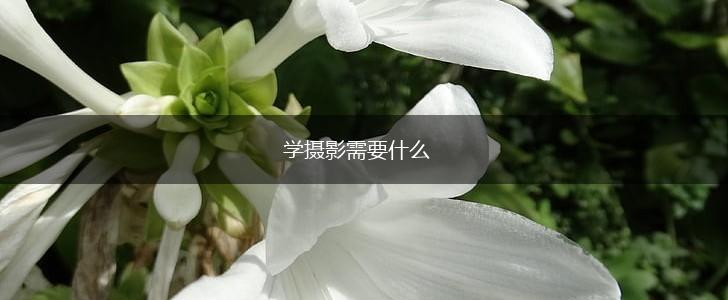 学摄影需要什么,第1张