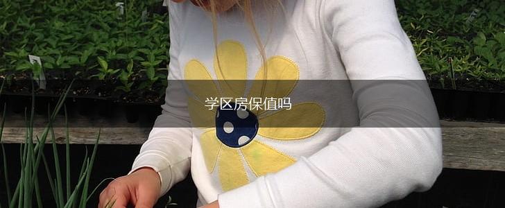 学区房保值吗,第1张