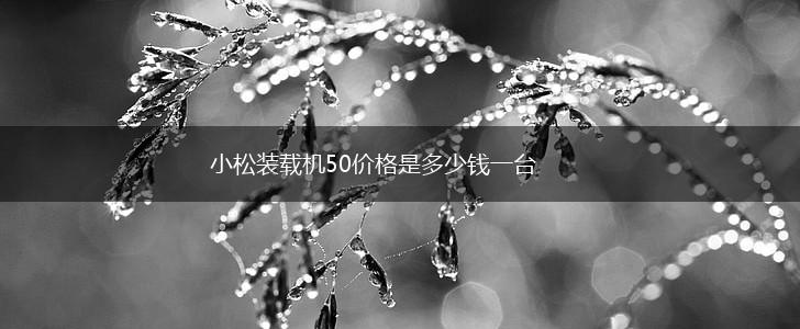小松装载机50价格是多少钱一台,第1张