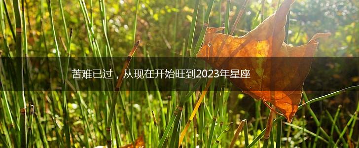 苦难已过，从现在开始旺到2023年星座,第1张