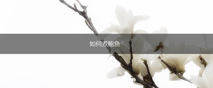 如何煮鲍鱼,第1张