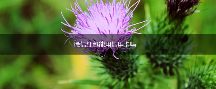 微信红包能用信用卡吗,第1张