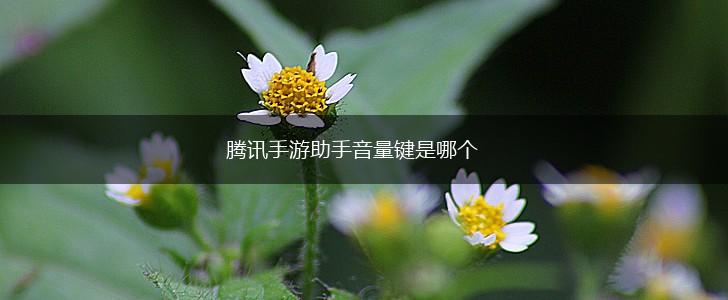 腾讯手游助手音量键是哪个,第1张