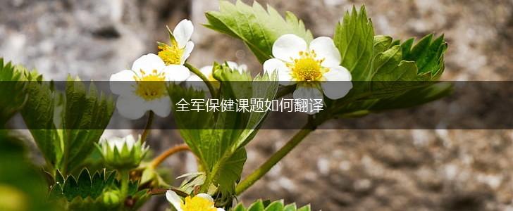 全军保健课题如何翻译,第1张