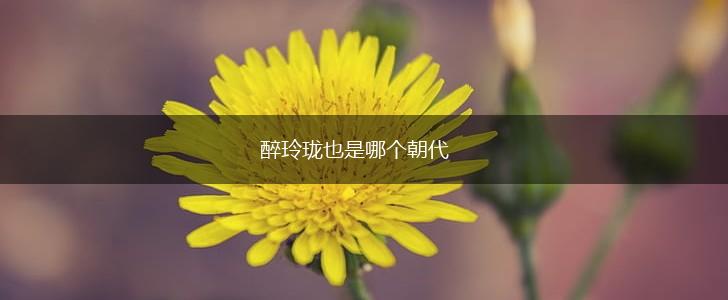 醉玲珑也是哪个朝代,第1张