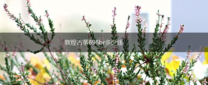 敦煌古筝696br多少钱,第1张