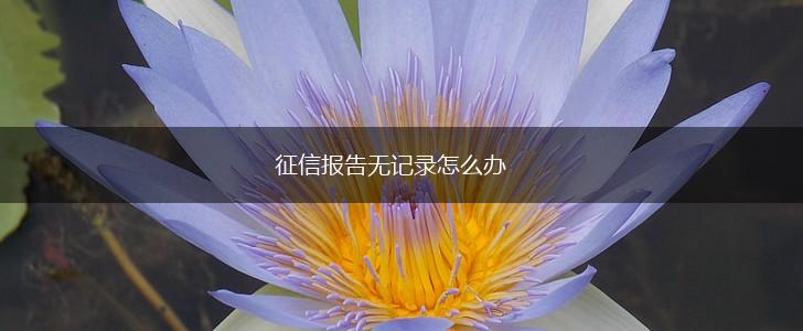征信报告无记录怎么办,第1张