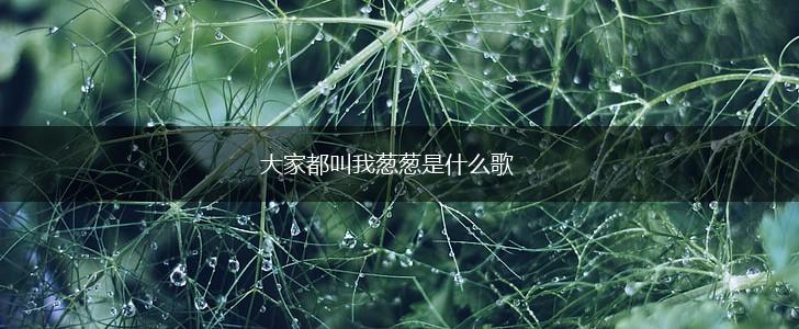 大家都叫我葱葱是什么歌,第1张