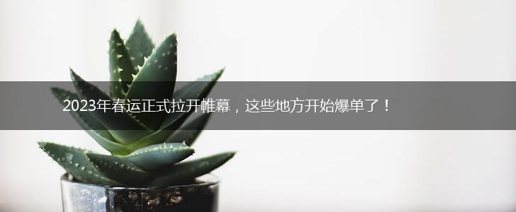 2023年春运正式拉开帷幕，这些地方开始爆单了！,第1张