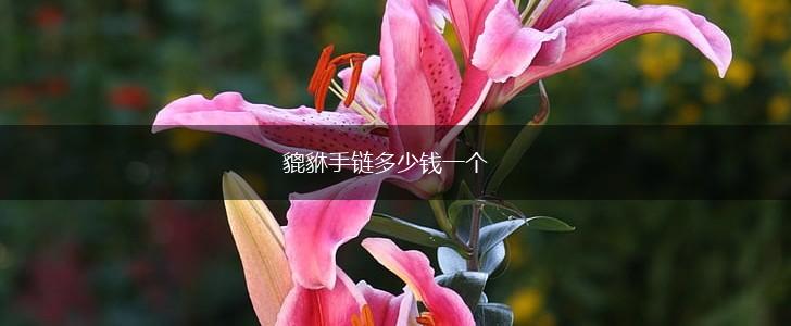 貔貅手链多少钱一个,第1张