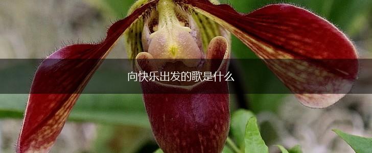 向快乐出发的歌是什么,第1张