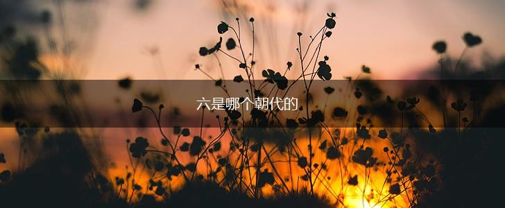 六是哪个朝代的,第1张