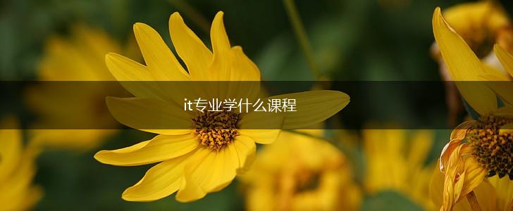 it专业学什么课程,第1张