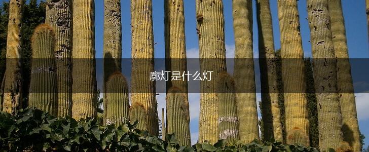 廓灯是什么灯,第1张