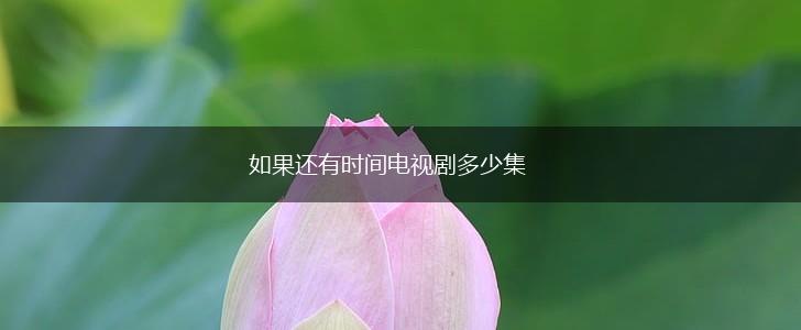 如果还有时间电视剧多少集,第1张