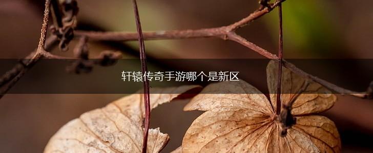 轩辕传奇手游哪个是新区,第1张