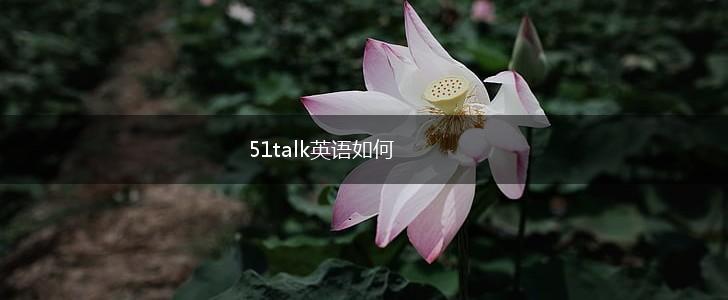 51talk英语如何,第1张