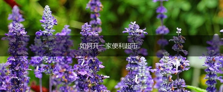 如何开一家便利超市,第1张
