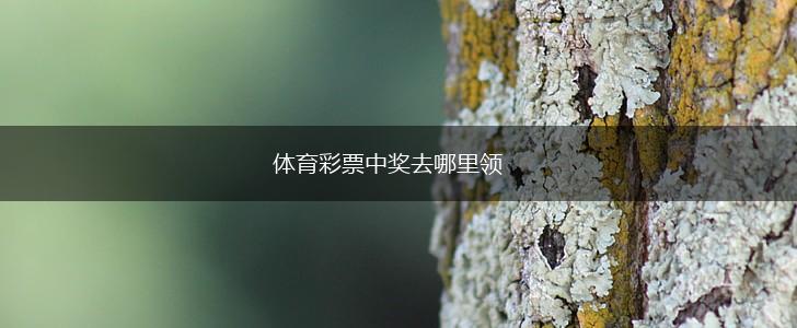 体育彩票中奖去哪里领,第1张