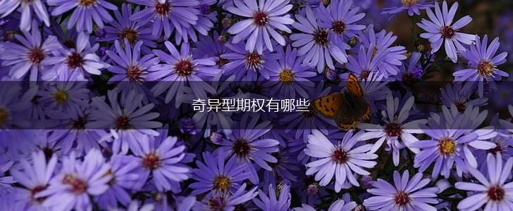 奇异型期权有哪些,第1张