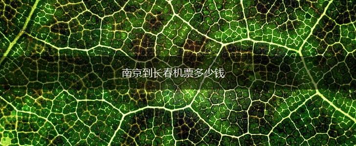 南京到长春机票多少钱,第1张