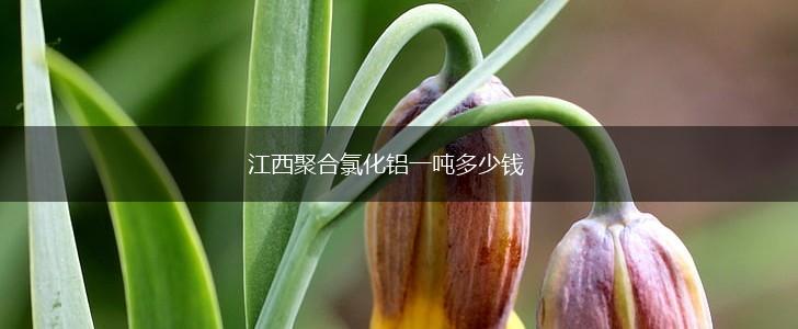 江西聚合氯化铝一吨多少钱,第1张