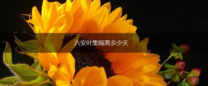 六安叶集隔离多少天,第1张