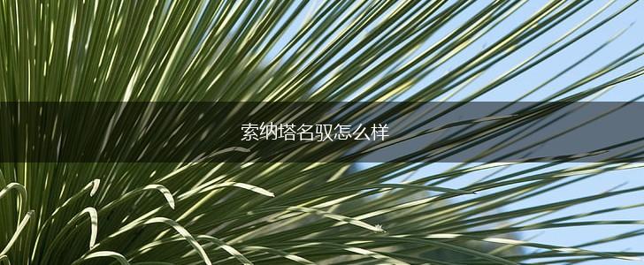 索纳塔名驭怎么样,第1张