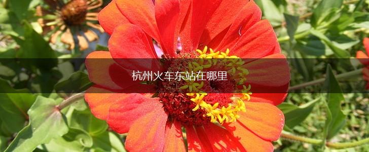杭州火车东站在哪里,第1张