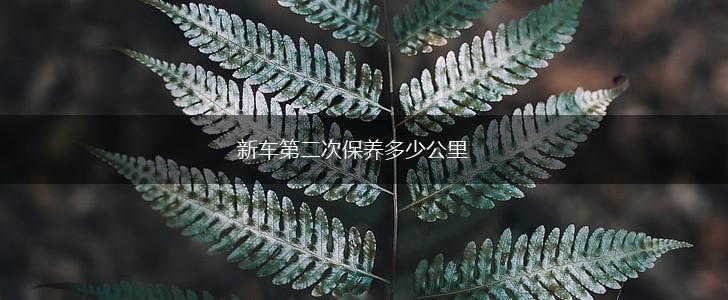 新车第二次保养多少公里,第1张