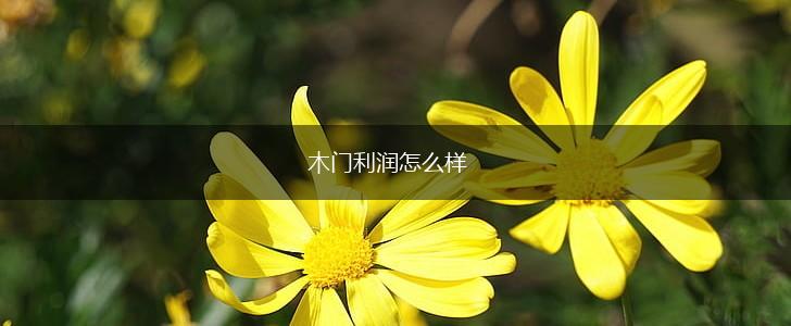 木门利润怎么样,第1张