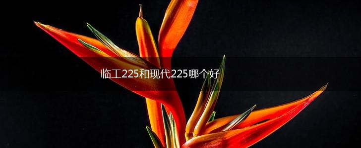 临工225和现代225哪个好,第1张