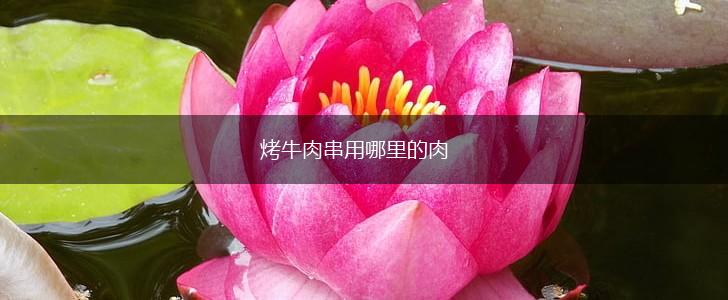 烤牛肉串用哪里的肉,第1张