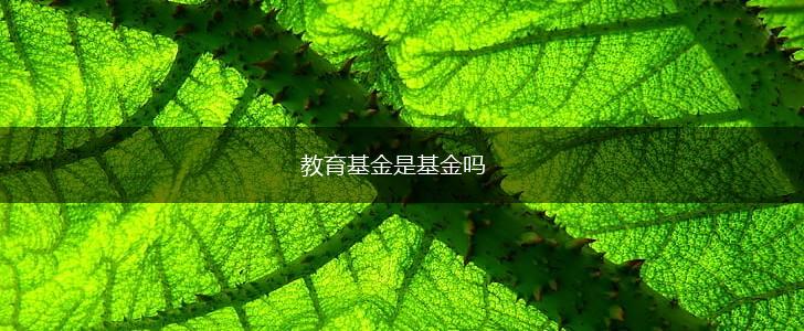教育基金是基金吗,第1张