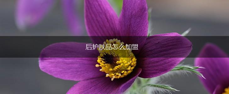 后护肤品怎么加盟,第1张