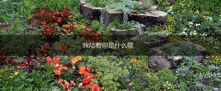 我陪着你是什么歌,第1张