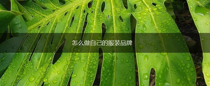 怎么做自己的服装品牌,第1张