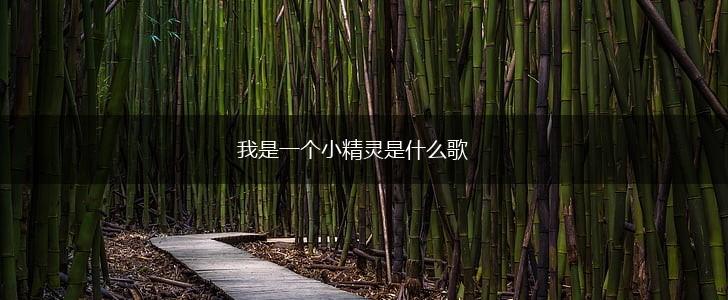我是一个小精灵是什么歌,第1张