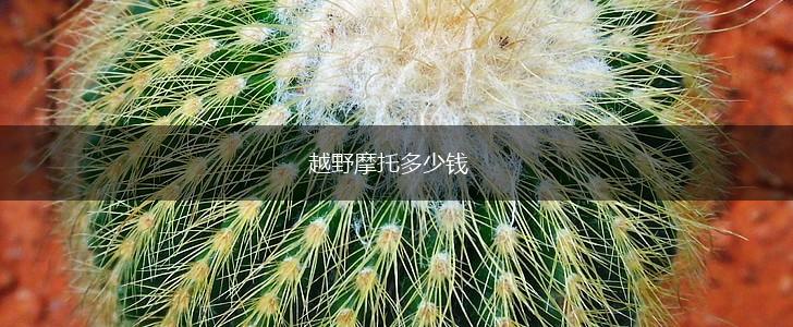 越野摩托多少钱,第1张
